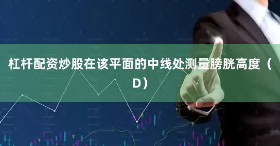 杠杆配资炒股在该平面的中线处测量膀胱高度（D）