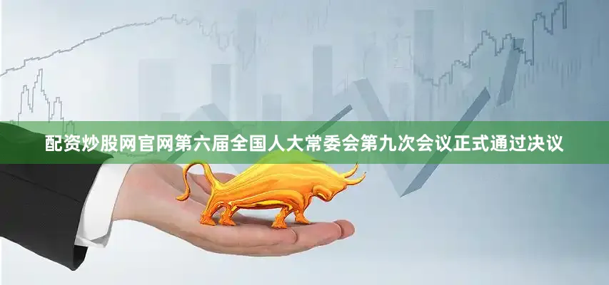 配资炒股网官网第六届全国人大常委会第九次会议正式通过决议